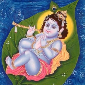 Santana GopalaKrishna Yagya