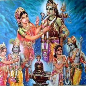 Swayamvar Parvati Yagya