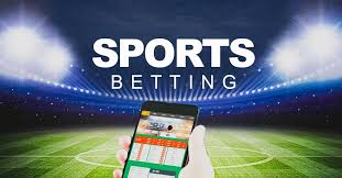 Everything You Need to Know About 1xbet -2091779247