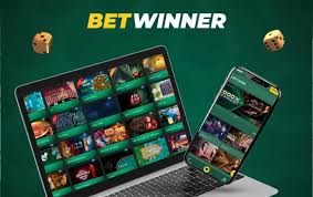BetWinner Gambling Platform An In-Depth Review and Guide