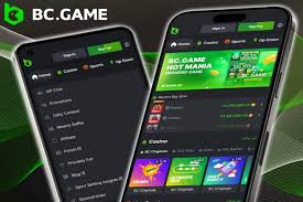 Comprehensive Insight into the BC.Game Betting Platform Comprehensive Insight into the BC.Game Betting Platform