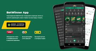 Exploring the Exciting World of BetWinner Casino Platform