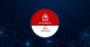 Understanding the Role of Interpol Defense Lawyers 1334971410 Understanding the Role of Interpol Defense Lawyers 1334971410